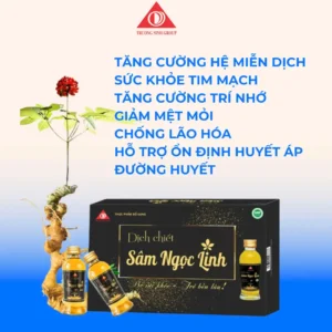 Dịch chiết sâm ngọc linh (05 chai/ hộp)