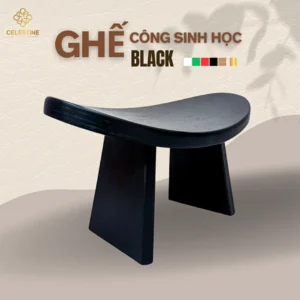 Ghế Công Sinh Học BLACK