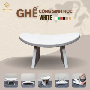 Ghế Công Sinh Học WHITE