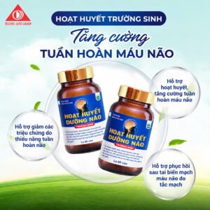 TPBVSK Hoạt huyết dưỡng não Trường Sinh Hộp 60v
