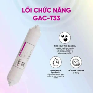Lõi chức năng GAC-T33 Than hoạt tính nối nhanh