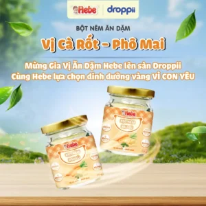 Bột Nêm Rau Củ - Cà Rốt – Phô Mai HEBE kích thích vị giác cho bé (hũ 50g)