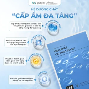 Hộp 5 Mặt Nạ Giúp Cấp Ẩm Và Hỗ Trợ Cân Bằng Da WonJin Effect Healance Calming Relief Mask 30g