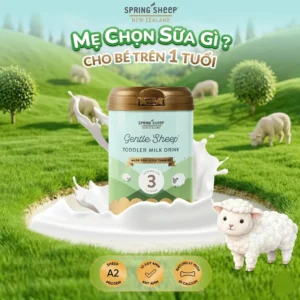 Sữa Spring Sheep số 3 cho trẻ từ 12-36 tháng tuổi 800g