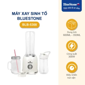 Máy Xay Sinh Tố BlueStone BLB-5308 300W