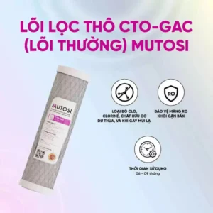 Lõi lọc số 3 CTO 10"