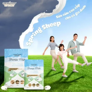 Sữa bột nguyên kem Spring Sheep túi 350g