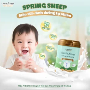 Sữa Spring Sheep số 1 cho trẻ từ 0-6 tháng tuổi 800g
