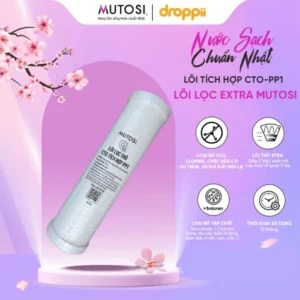 Lõi lọc Mutosi Xtra CTO tích hợp PP1