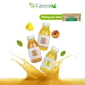 VKombucha Light 250ml Mix Vị (Thùng 24 Chai) (thức uống lên men)