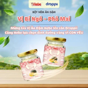 Bột Nêm Rau Củ - Bí Ngô – Phô Mai HEBE kích thích vị giác cho bé (hũ 50g)